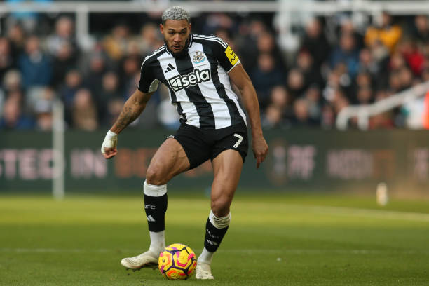 想要反扑的 想要反扑的